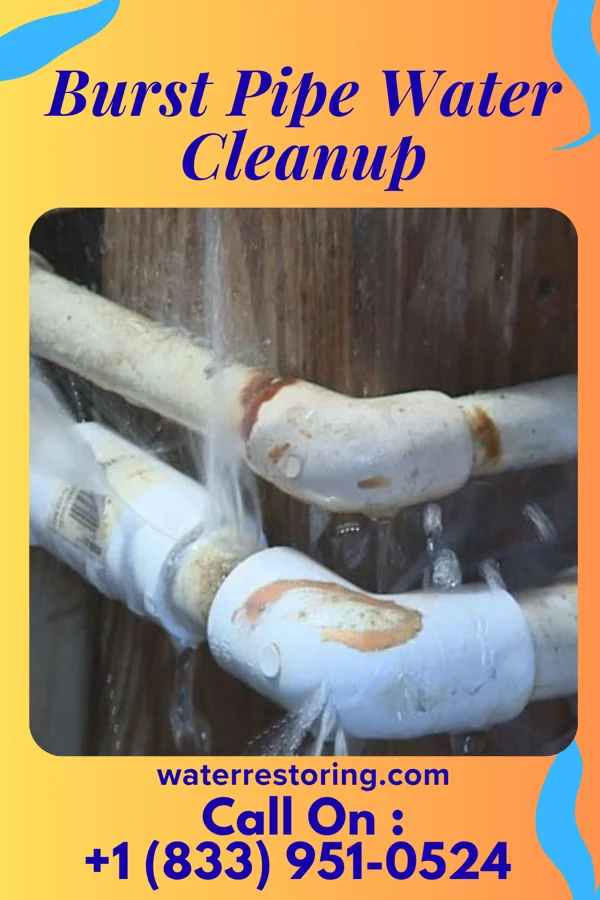 Burst Pipe Water Cleanup in Morrisville, VT
