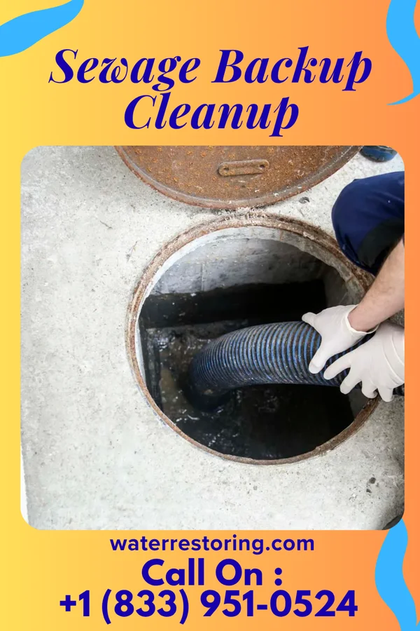 Sewage Backup Cleanup in Morrisville, VT