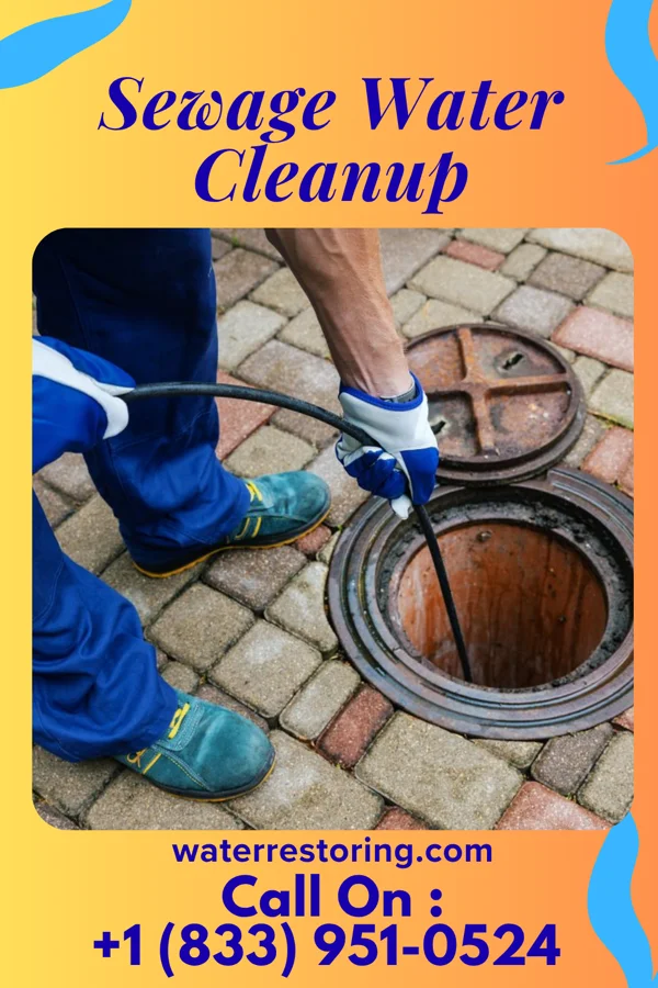 Sewage Water Cleanup in Morrisville, VT