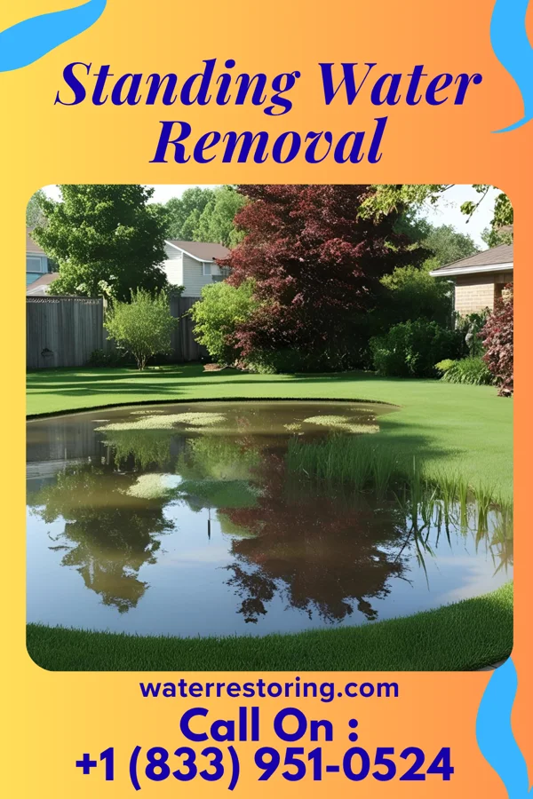Standing Water Removal in Morrisville, VT